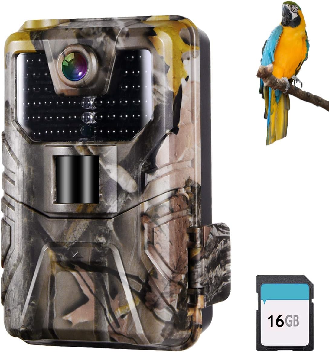 Suntekcam Trail Camera 24MP 1080P Game Camera Motion Activated Night Infrared Vision IP66 Waterproof Outdoor Scouting Wildlife Hunting Camera: Electronics