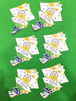 Indian Flag Kite Tambola Tickets