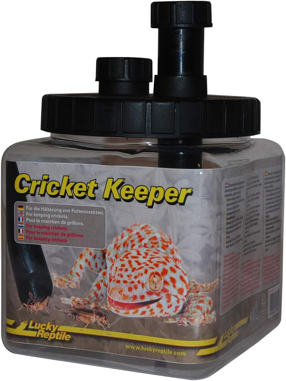 Lucky Reptile CK1 Cricket Keeper Amazon.de Haustier