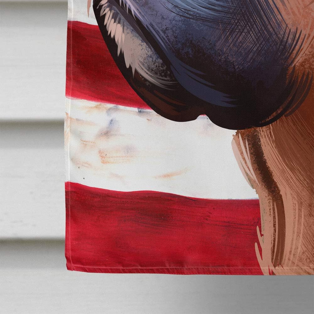 Caroline's Treasures CK6454CHF Boxer Dog American Flag Flag Canvas House Size, Large, Multicolor - Image 5