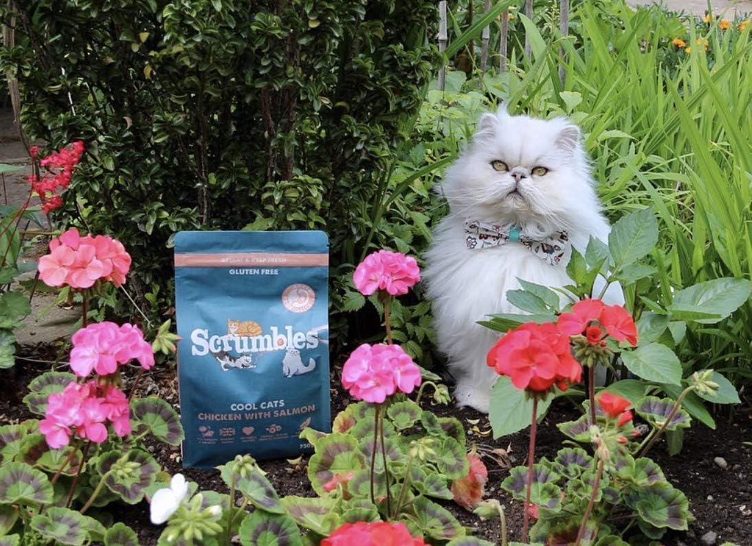 Scrumbles All Natural Dry Cat Food With 75% Chicken and Fresh Salmon, High Protein Food for Adults And Seniors 750 g - Image 5