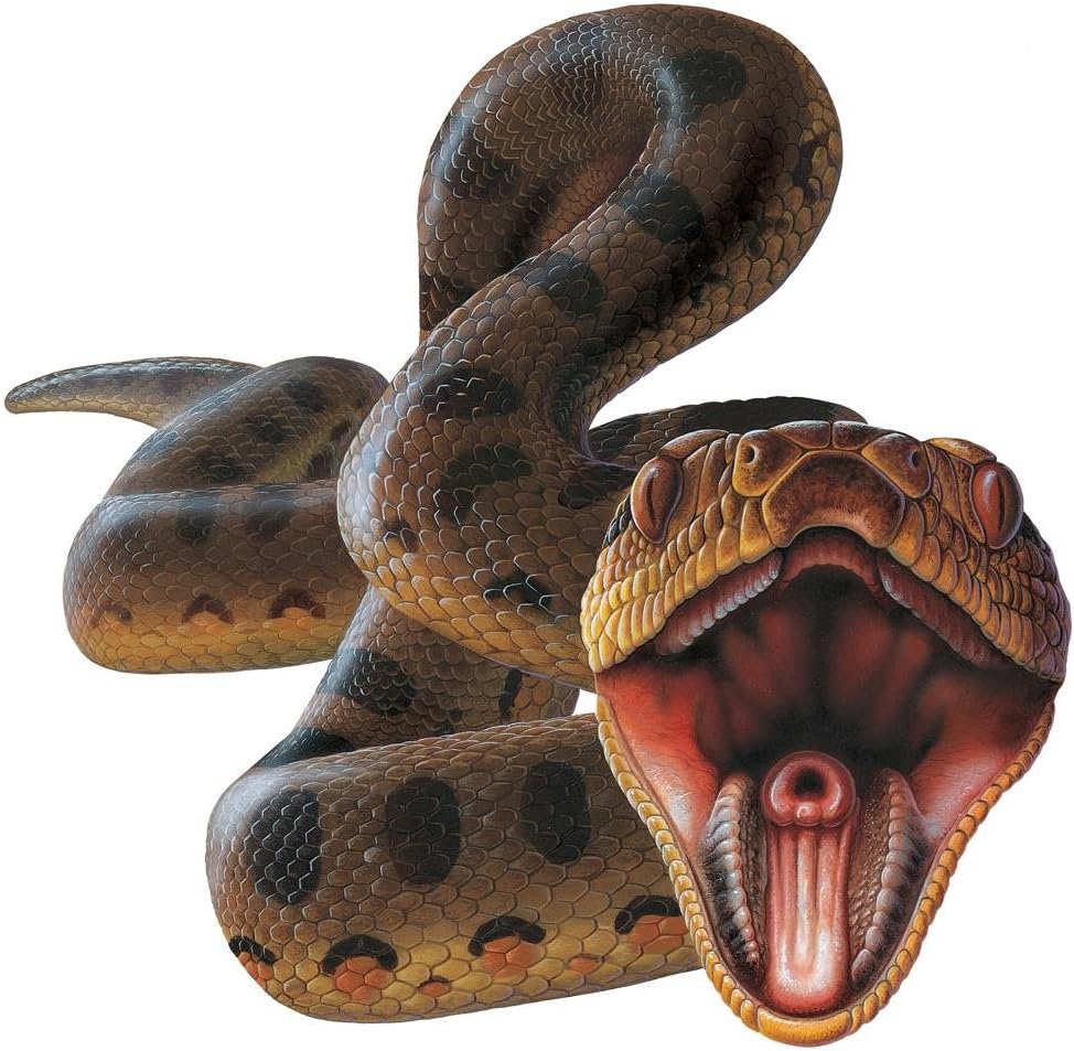 Anaconda Snake Wall Decal by Wallmonkeys Peel and Stick Graphic (30 in W x 29 in H) WM168410
