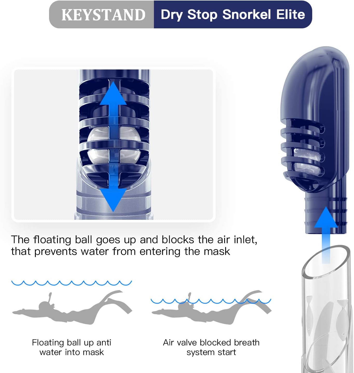 Keystand Snorkel Mask, Foldable Snorkel Set Snorkeling Gear, Detachable Free Breathing Snorkeling Packages, Anti Fog Anti Leak Tempered Glass, Scuba Mask Snorkel Gear for Adults Youth Kids : Sports & Outdoors