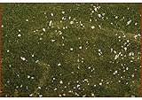 Rossi RosaPaper Sheet with Natural Moss, Size- 70 x 50 cm