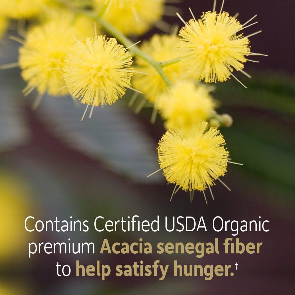 Garden of Life Dr. Formulated Organic Fiber Supplement - Unflavored, 32 Servings, Organic Prebiotic Fiber Supplement, Psyllium Free, Vegan Superfood Fiber Powder, Constipation Relief, Hunger Control: Health & Personal Care