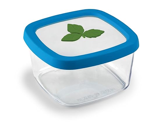 Snips - Recipiente para conservar Aromas, de 1 litro: Amazon.es: Hogar