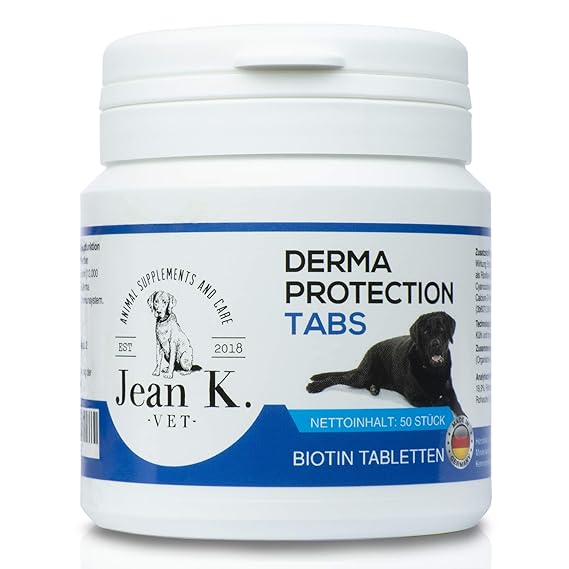 【ᐅᐅ】Vitamin b für hunde Test Bestseller Vergleich