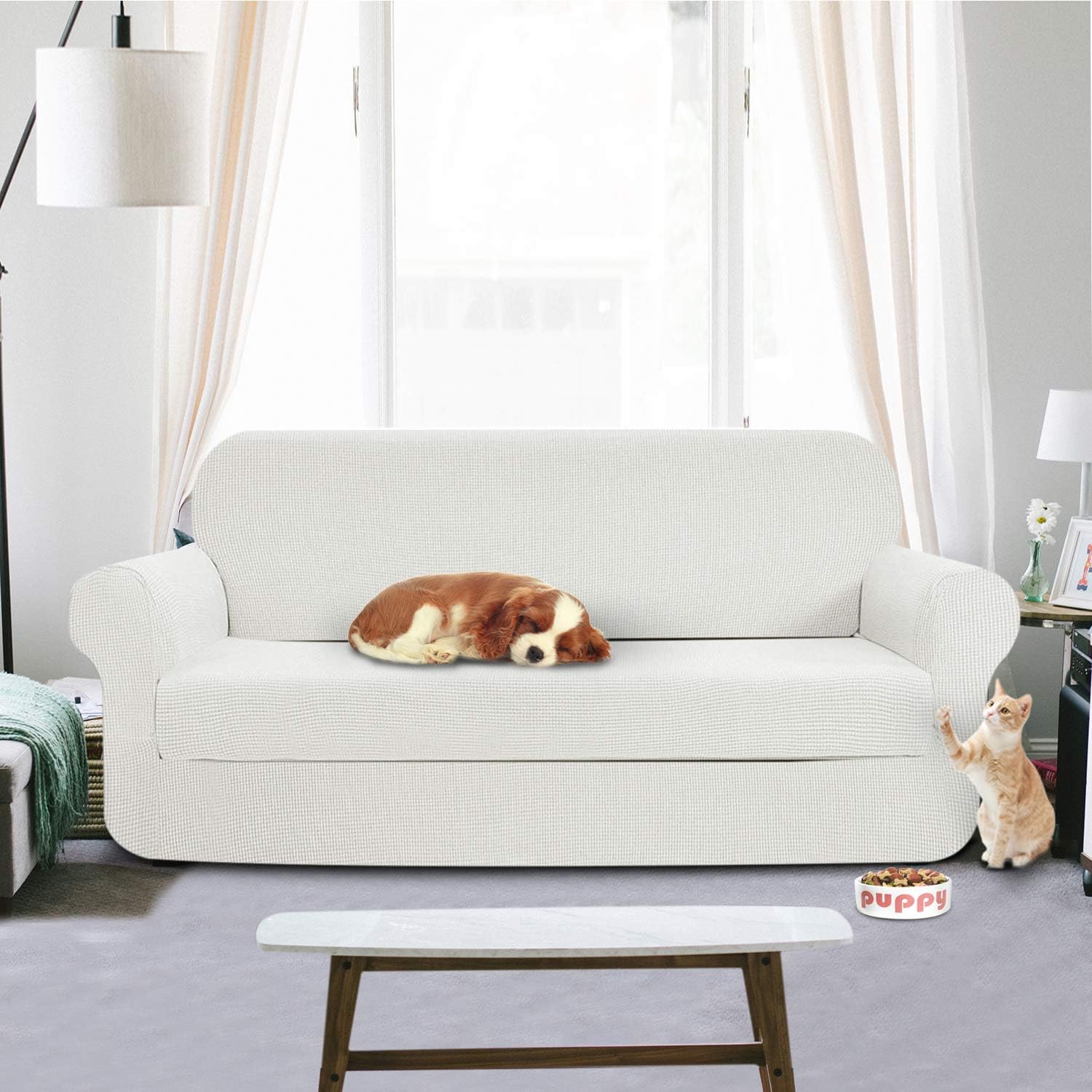 cat proof slipcovers