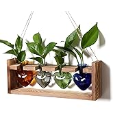 CYZglass Plant Propagation Stations Heart Plant Terrarium Kit Gift for Women Plant Lover Glass Vases
