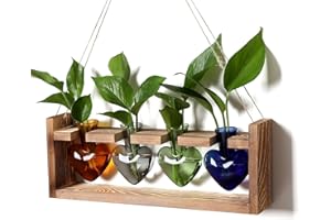 CYZglass Plant Propagation Stations Heart Plant Terrarium Kit Gift for Women Plant Lover Glass Vases