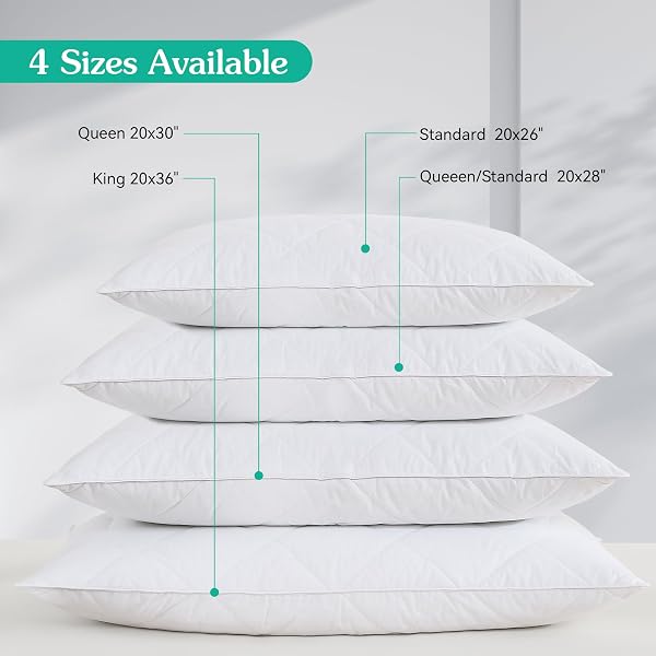 THREE GEESE WHITE GOOSE FEATHER & COTTON PILLOWS QUEEN/STANDARD SIZE SET OF 1- SOFT 600 THREAD COUNT 100% COTTON, MEDIUM FIRM,SOFT SUPPORT, WHITE SOLID