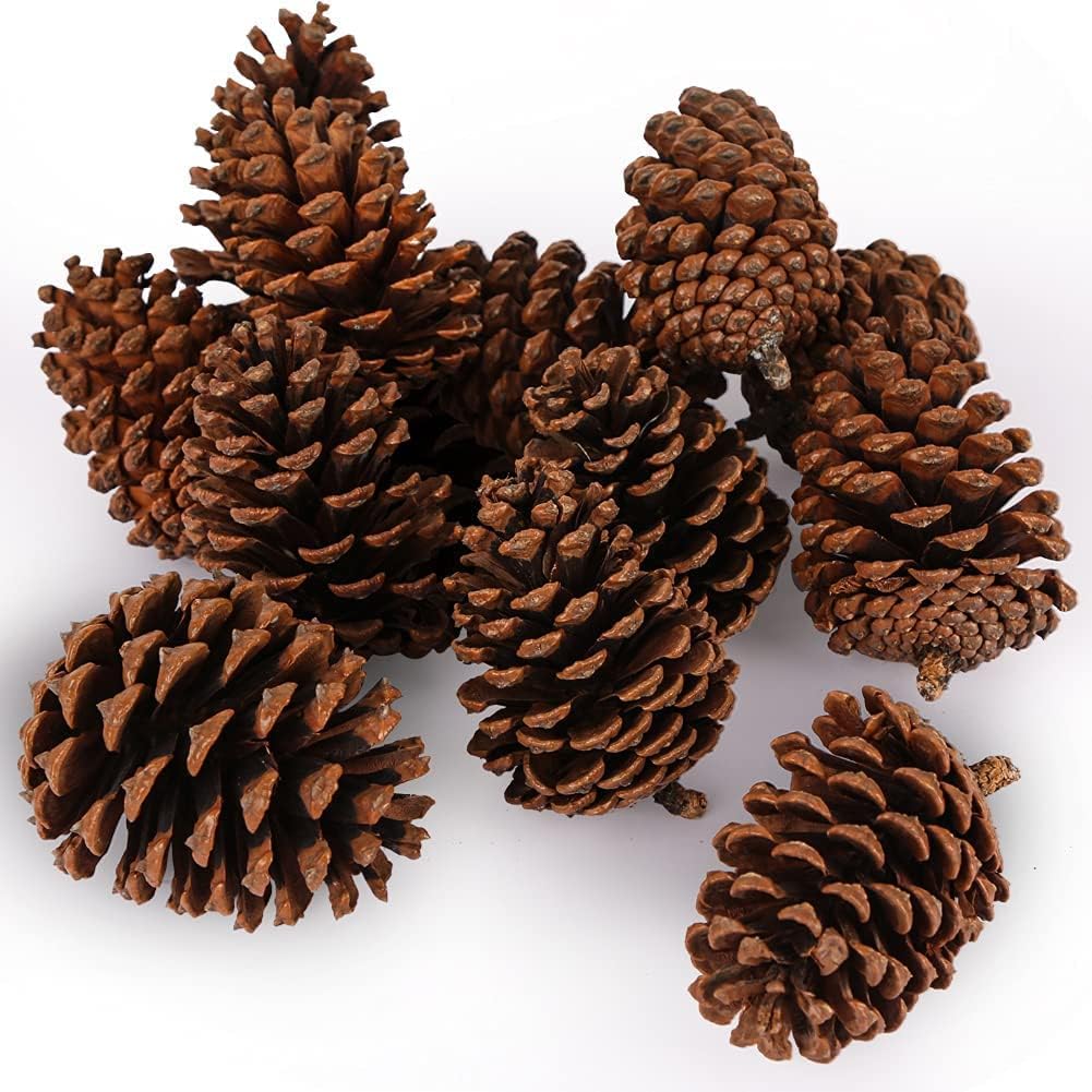 Ornaments - JOHOUSE 3.5-5Inch Natural Pine Cones, Large Pinecone,Christmas Natural Pinecone Ornaments Big Pinecones for Autumn and Winter Decor Christmas Decorations