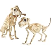 Dusk&Decorum Halloween Skeleton Dogs 2 Pack with Bone, Large Dog Skeletons for Halloween Decorations, Sitting & Standing Skeleton Dog, Spooky Indoor Outdoor Yard Porch Graveyard Decor