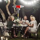 Dellonda Freestanding 13kW Gas Patio Heater with Wheels & Cover DG221 view 8