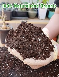 TOYPOPOR Potting Soil for All Indoor