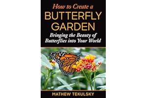 How to Create a Butterfly Garden: Bringing the Beauty of Butterflies into Your World