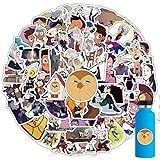 The Owl House Merch 100 Packs Stickers for