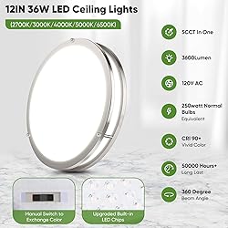 TOBUSA 2-Pack 12 Inch Flush Mount LED Ceiling