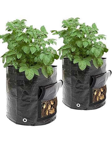 Bolsas para plantas | Amazon.es