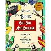 Vintage Birds Cut Out and Collage: Flamingo, Owl, Duck, Swan, Parrot and more - A Collection of Ephemera for Mixed Media and 