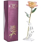 ZJchao 24K for Her, Dipped Gold Rose Love Real Golden Plated Preserved Eternal Flower with Rose Stand Present for Wife/Girlfriend/Daughter (Peach)