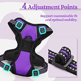 rabbitgoo Dog Harness Small No Pull Reflective Adjustable Vest Purple XS view 5