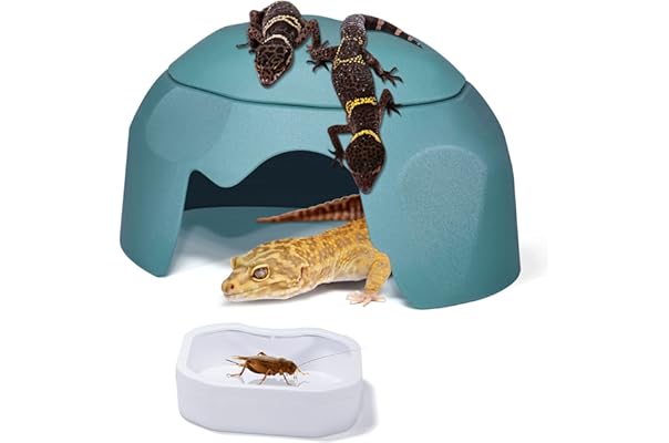 amazon reptile shop