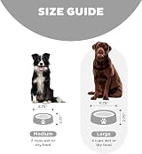 Outward Hound Slow Feeder Dog Bowl Large Grey - Promotes Healthy Digestion view 4