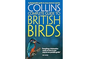 British Birds: A photographic guide to every common species