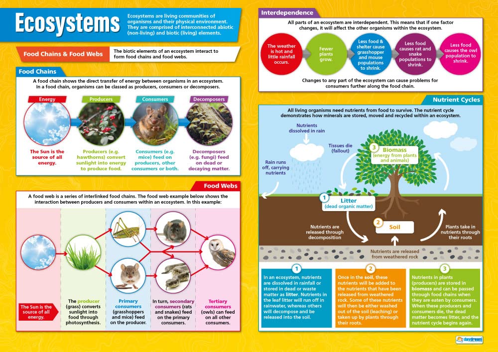 Ecosystems | Geography Posters | Laminated Gloss Paper measuring 850mm x 594mm (A1) | Geography Classroom Posters | Education Charts by Daydream Education