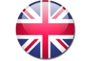 English Dictionaries