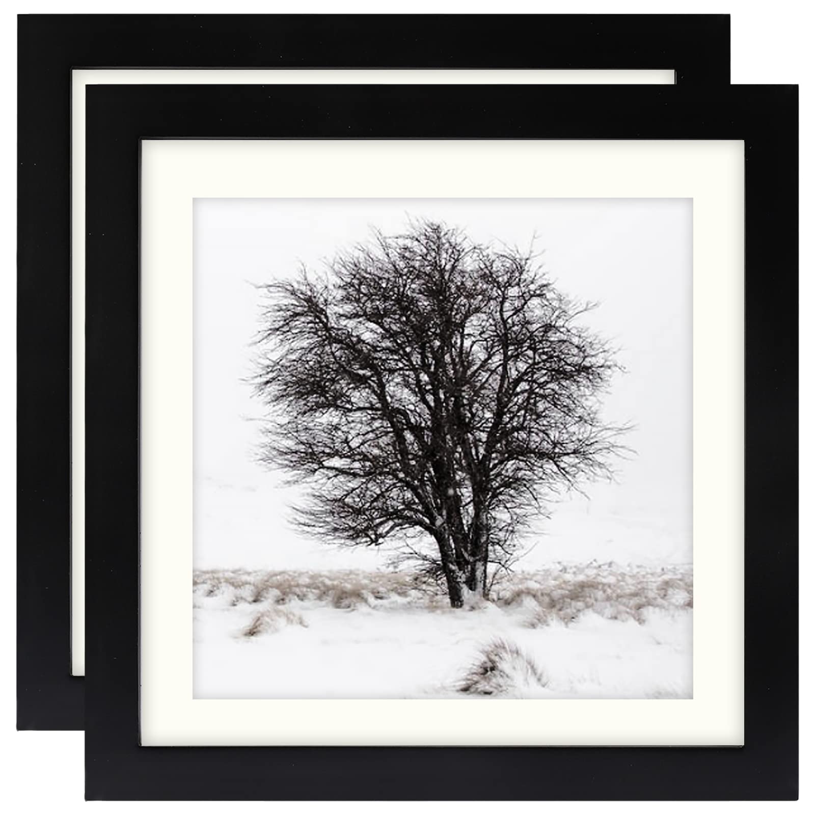 Black 10x10 (25x25 cm) Photo Frames Display 8x8 Pictures - Square Classic Solid Wood Frames for Wall Mount and Tabletop 2 Pack