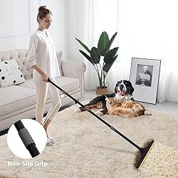 B-Land Carpet Rake for Pet Hair Removal, Reusable