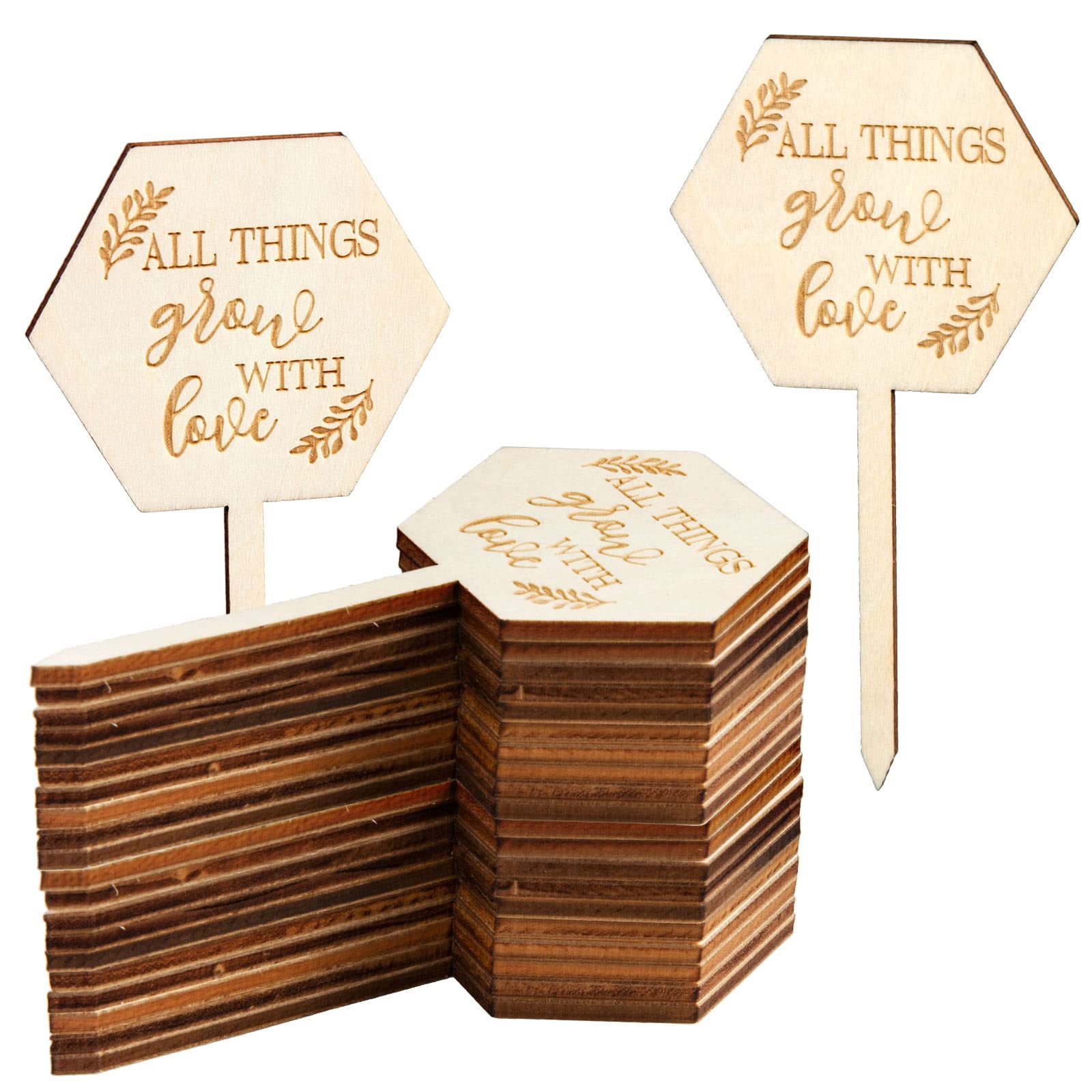 Photo 1 of AnyDesign 30Pcs All Things Grow with Love Labels Succulent Tags Hexagon Wooden Plant Stakes Labels Garden Marker Plant Sign for Seed Potted Teacher Appreciation Gift Thanksgiving Baby Shower