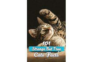101 Strange But True Cats Facts: Incredible and Surprising Facts