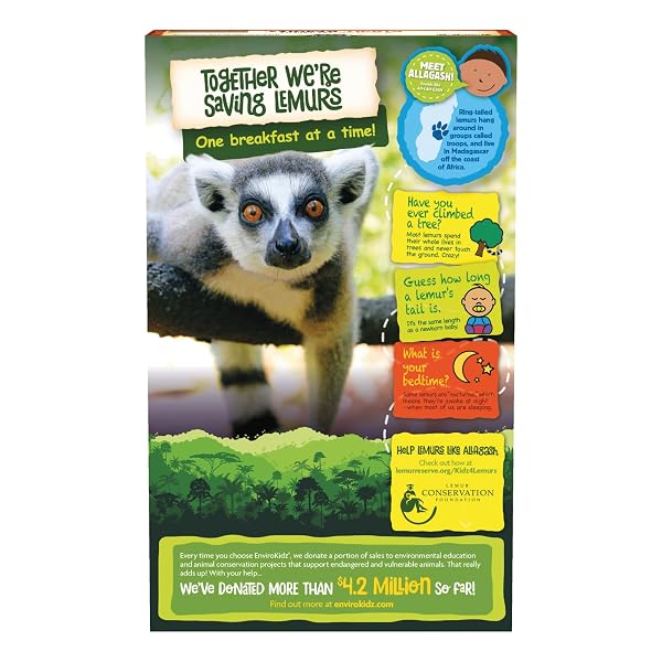 ENVIROKIDZ ORGANIC LEAPIN’ LEMURS CEREAL, 10 OZ (PACK OF 1), PEANUT BUTTER & CHOCOLATE, GLUTEN FREE, FAIR TRADE, BY NATURE’S PATH