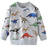 AIWUHE Toddler Sweatshirt Boys Girls Crewneck Pullover Tops Blouse Long Sleeve Cotton T-Shirt Fall Winter Clothes 2-6Y