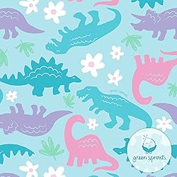 i Play Girls Reusable Absorbent Baby Swim Diapers