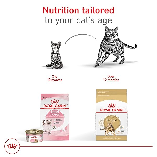 ROYAL CANIN FELINE BREED NUTRITION BENGAL ADULT DRY CAT FOOD, 7 LB BAG
