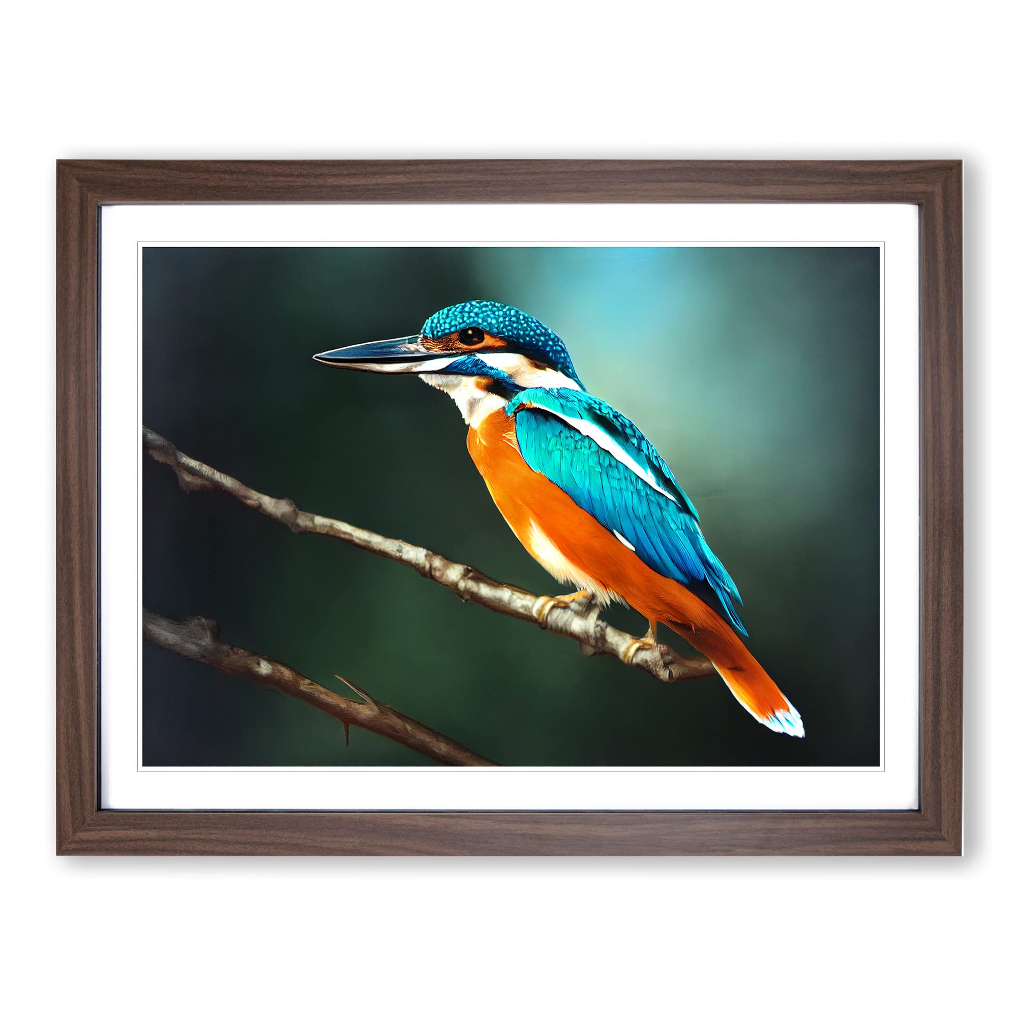 Unbeatable Kingfisher Bird Framed Print | A4 Walnut Framed Wall Art | Ready to Hang | Modern Nature Picture | Living Room Bedroom Lounge Office