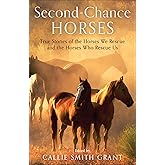 Second-Chance Horses