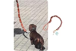 MANON ROSA Sausage Leash Hot Dog Walking Gear - Durable Rubber Wiener Hotdog Leash - Playful Pet Chew Toy for Small Dogs & Puppies, Cats & Outdoor Fun