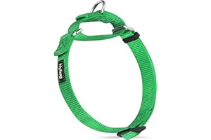 Hyhug Martingale Dog Collar Large Green |Escape - Proof Heavy Duty Nylon Durable No Pull, Ideal for Training & Daily Walks