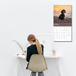 July 2025- December 2026 Dachshund Wall Calendar 18