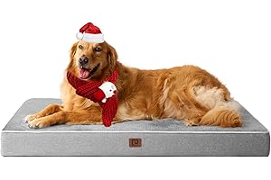 EHEYCIGA Orthopedic Memory Foam Dog Beds for Jumbo Dogs with Removable Waterproof Cover, Grey, 47x29