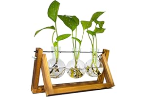 TECHSHARE Plant Terrarium with Wooden Stand, Desktop Air Planter Bulb Glass Vase, Plant Gifts for Plant Lovers, for Hydroponics Home Garden Office Decoration（3 Bulb Vase）