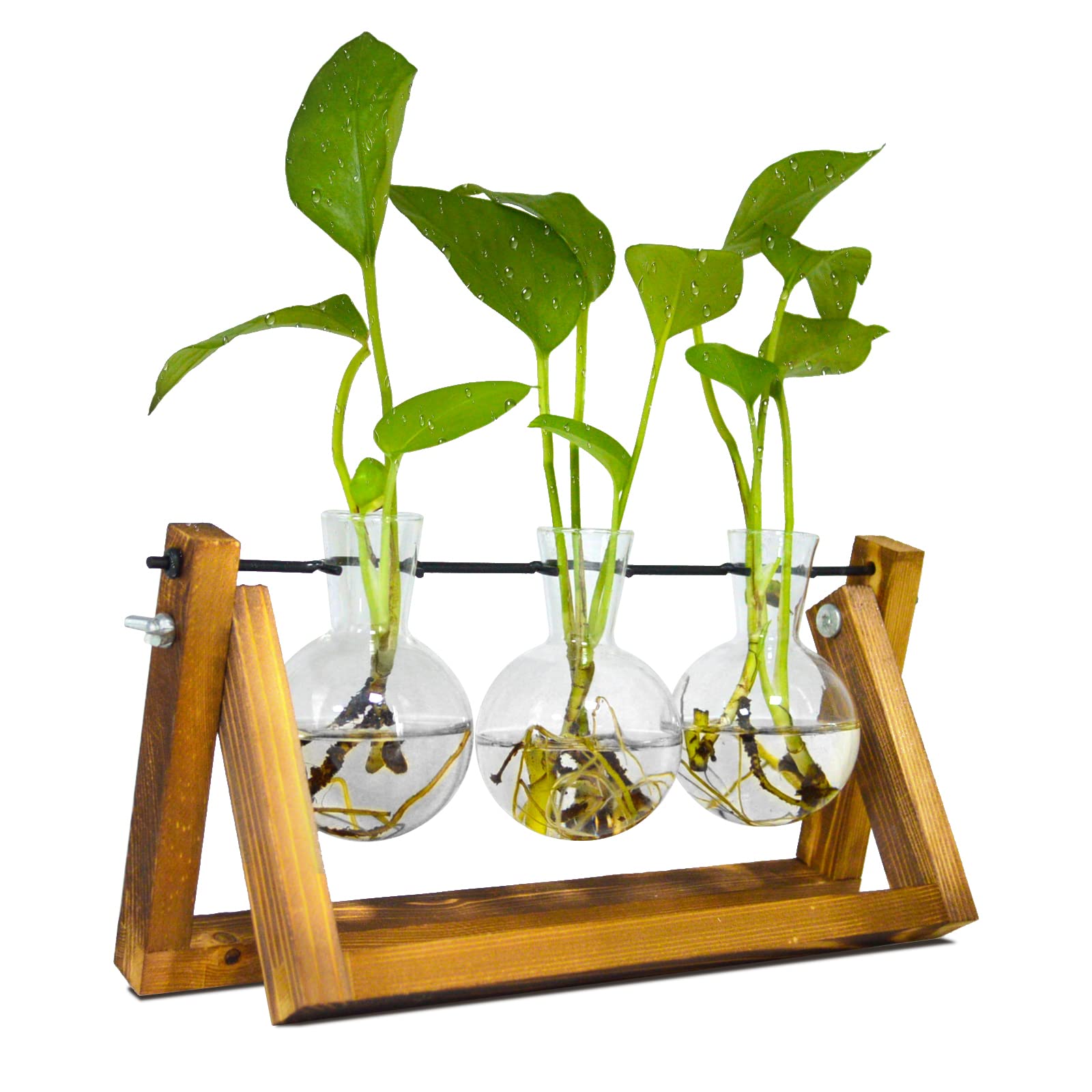 Propagation Station for Plants, Terrarium for Hydroponic Plants, Plant Terrarium with Wooden Stand Personalized Gifts for Mum, Women, Valentines Day, Birthday, Christmas, Mothers Day(3 Bulb Vase)