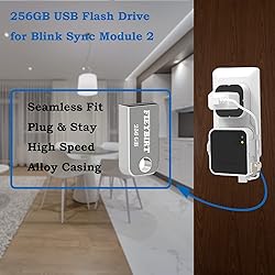 256GB Blink USB Flash Drive and Sync Module 2