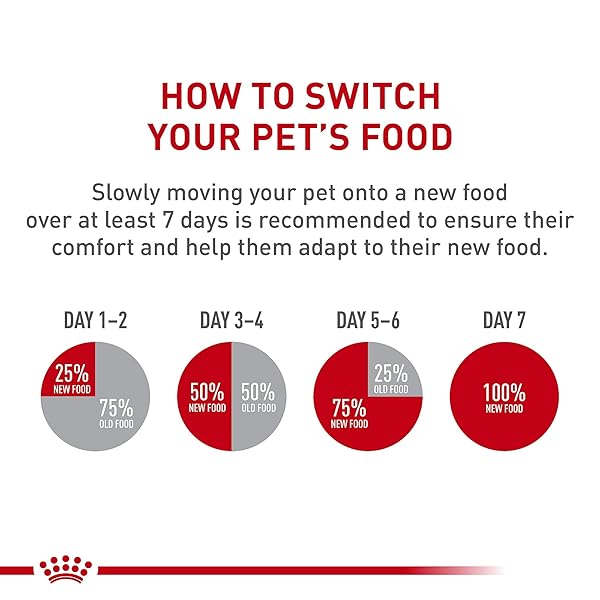ROYAL CANIN® FELINE BREED NUTRITION™ PERSIAN ADULT LOAF IN SAUCE CANNED CAT FOOD, 3 OZ, 24-PACK