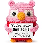 Pink Owl Crochet Gift for Best Friend, Handmade Collectible for Women, Funny and Inspirational Birthday Surprise, Christmas Stocking Stuffer, Thoughtful Appreciation Gift for Coworker Sister